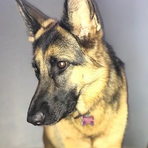 Meet your Posher, Marv